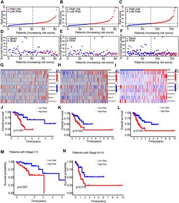 Identification of cuproptosis-associated IncRNAs signature and establishment of a novel nomogram for prognosis of stomach adenocarcinoma